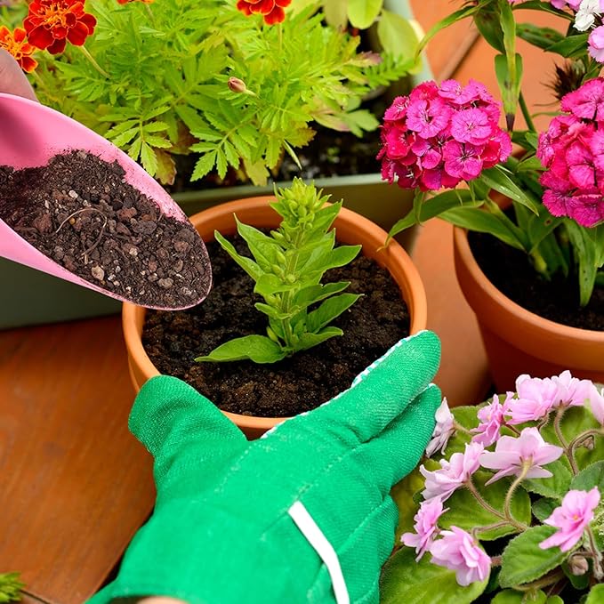 12pcs Garden Shovel Hand Tools Transplanting Succulent Cultivation Digging Scoops Kits Plastic for Flower Planting Bonsai Potting Soil Indoor(Pink Blue Green)