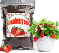 Organic Strawberry Soil Mix 10qt, Indoor Plants Potting Mix for All Potted Strawberry, Grow Healthy houseplants Indoors