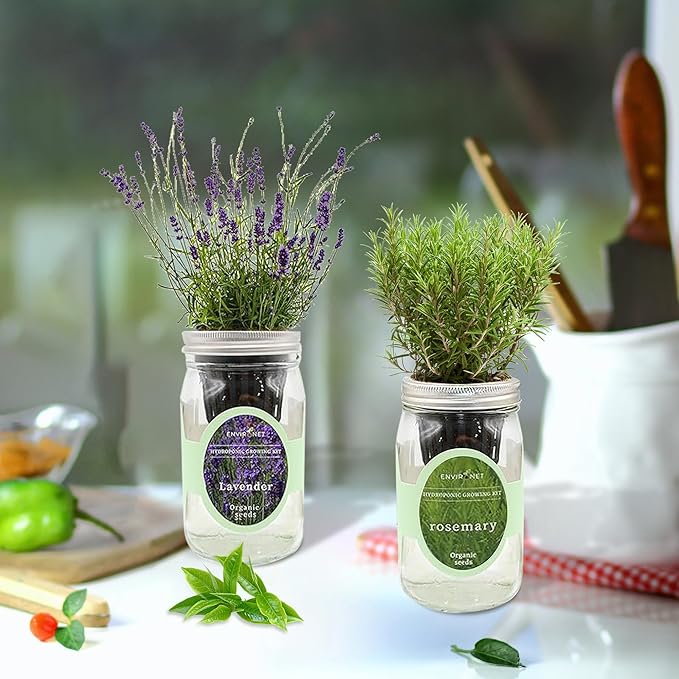 2-Pack Hydroponic Mason Jar Herb Garden Kit, Indoor Herb Garden Self-Watering Starter Kit, New Christmas Gift for Mom (Dill,Lavender)