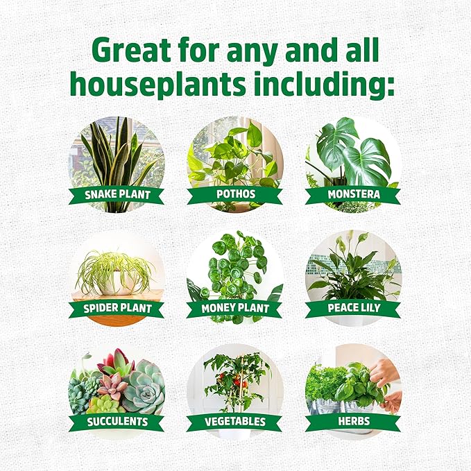 Back to the Roots Natural & Organic Indoor Plant Food (16oz Value Size - 95 Feeds!), Great for Houseplants, Low Odor, Vegan, Easy to Apply Liquid Formula
