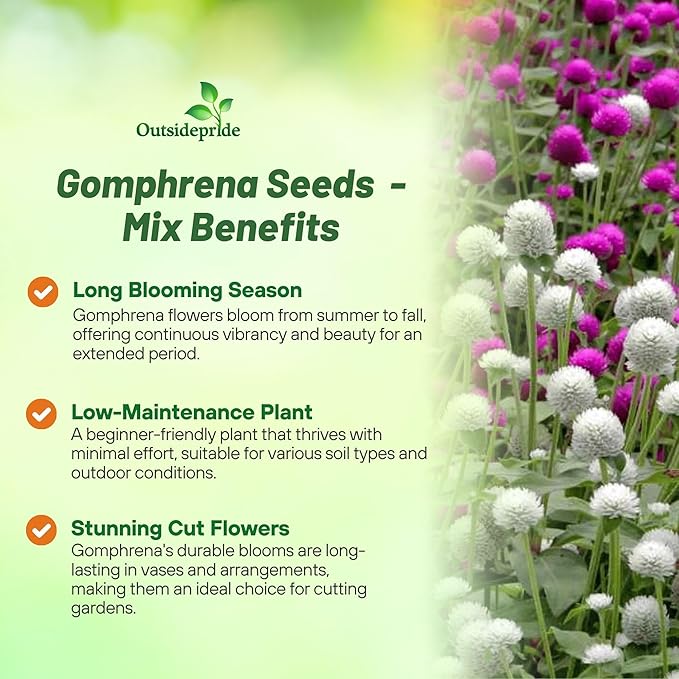 Outsidepride Mixed Gomphrena Seeds - 2000 Pcs Annual, Heat & Drought Tolerant, Pollinator Friendly Globe Amaranth Seeds for Planting w/Vibrant Round Blooms for Beds, Borders, and Arrangements