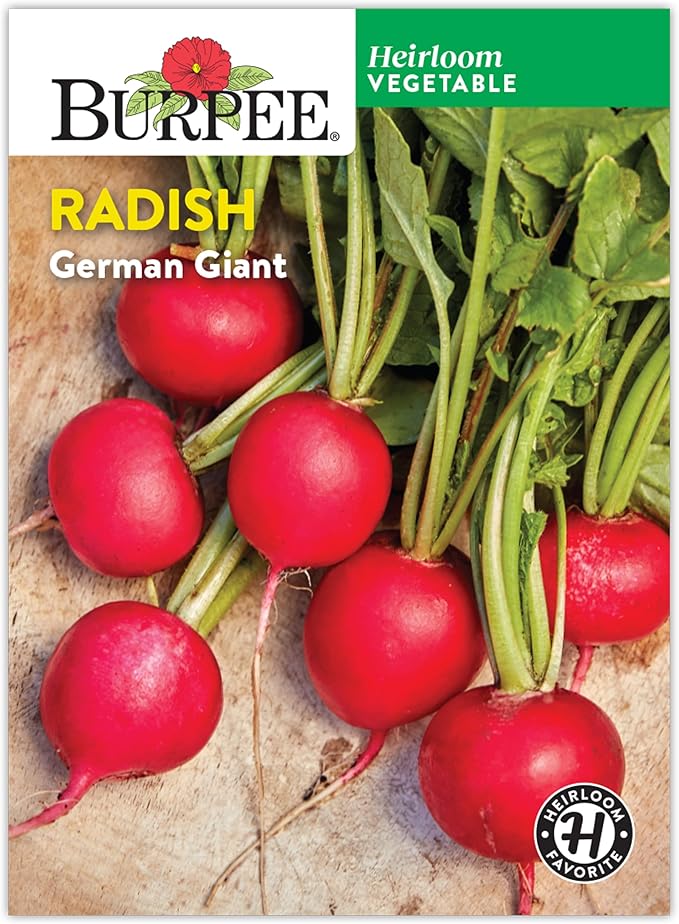 Burpee German Giant Radish Seeds - Huge, Crisp European Heirloom
