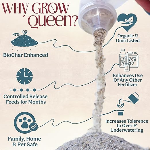 Grow Queen All-In-One Organic Succulent Fertilizer, Cactus Fertilizer, Succulent Plant Food, Bonsai & Cactus Food, 3 lb bag = 75 Single Servings, Fast & Slow Release feeds up to 300 plants for 8months