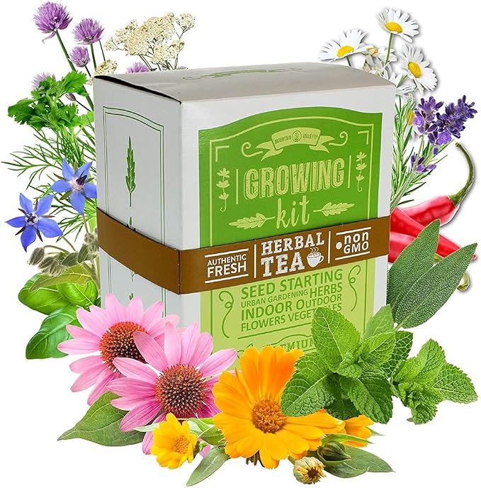 Medicinal & Herbal Tea Indoor Herb Garden Starter Kit - Deluxe Herb Seeds - 12 Varieties: Chamomile, Hot Pepper, Basil, Sage, Rosemary, Thyme, Lavender, Echinacea, Borage, Peppermint, & Yarrow