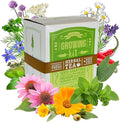 Medicinal & Herbal Tea Indoor Herb Garden Starter Kit - Deluxe Herb Seeds - 12 Varieties: Chamomile, Hot Pepper, Basil, Sage, Rosemary, Thyme, Lavender, Echinacea, Borage, Peppermint, & Yarrow