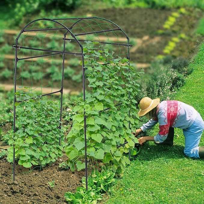 Cucumber Trellis, 6.7ft Tall Garden Arch Trellis for Climbing Plants Outdoor Arbor Support Vine Vegetable Tomato Bean Pea Grape Squash Pumpkin Cucumber Raised Bed, Lightweight, Black