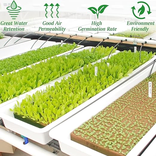 Halatool 1.2 Inch Rockwool Cubes Garden Hydroponic Pods Starter Plugs for Hydroponics Soilless Cultivation Seedling Starting Cuttings Clone & Plants Propagation (2 Sheets, 72 Plugs in Total)