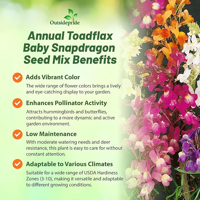Outsidepride Toadflax Baby Snapdragon Seeds - 5000 Pcs Annual, Deer-Proof, & Compact Flower Seeds for Planting Vibrant Blooms, Ideal for Pollinators, Borders, Small Gardens, or Containers