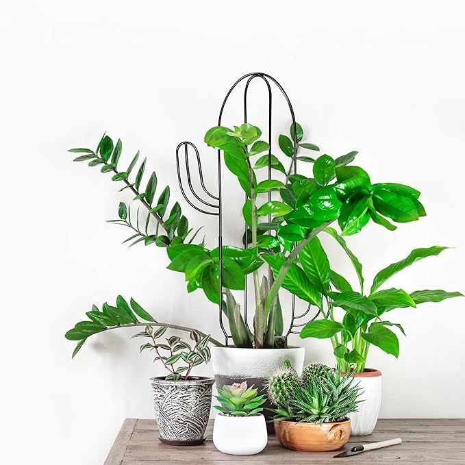 Plant Trellis for Climbing Plants Indoor, Heay Duty Cactus Trellis for Potted Plants, Pothos Hoya Monstera Metal Houseplant Climbing Support for Garden Balcony, 2P