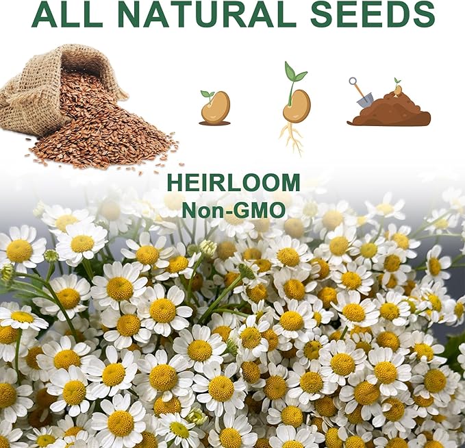 Lavender Seed Pod Kit, 8 Pod Kit (Include Seed Lavender/Chamomile/Holy Basil/Borage/Calendula/Mint) Fresh Tea Seed Pod Kit Compatible with Hydroponics