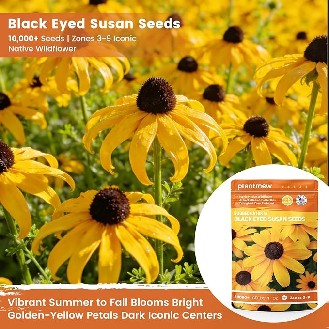 Black Eyed Susan Seeds for Planting | 30,000+ Heirloom Seeds, Non-GMO 1oz Flower Seeds for Garden, Borders & Containers | Sunflower Companion Wildflower Seeds to Attract Pollinators