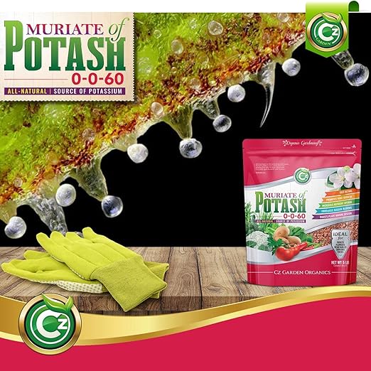 Muriate of Potash 0-0-62 Fertilizer Made in USA - MOP Potassium Plant Food for Indoor/Outdoor Plants, Flower Gardens, Fruit and Vegetable Gardens, Holistic Herbs, Trees and Green Lawns!