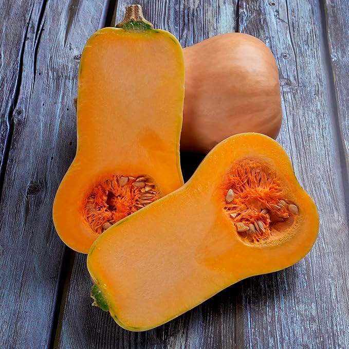 Back to The Roots 100% Organic Seed Packet - Squash 'Winter Waltham Butternut' 2.8g