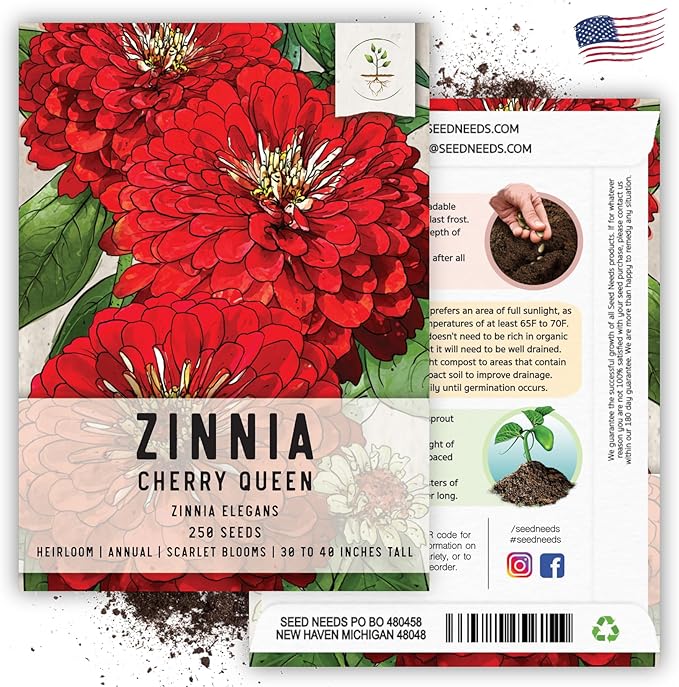 Seed Needs, Cherry Queen Zinnia Seeds - 250 Heirloom Seeds for Planting Zinnia elegans - Attracts Butterflies & Pollinators, Great Cut Flowers (1 Pack)