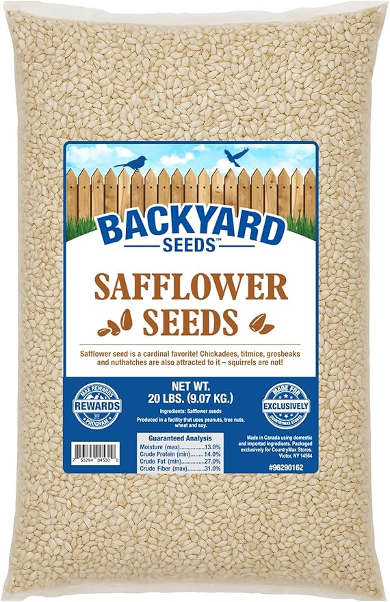 CountryMax Backyard Seeds Premium Safflower Bird Seed 20 lb – Ideal for Cardinals, Doves, Grosbeaks