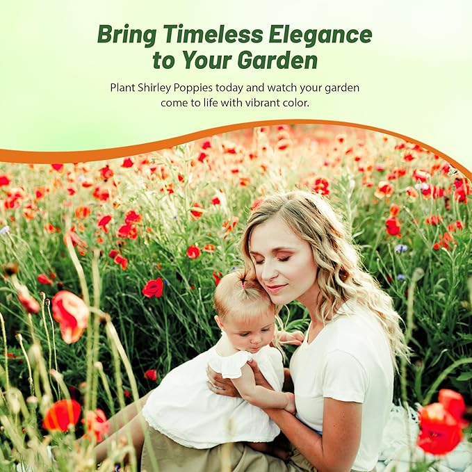 Outsidepride Shirley Poppy Seeds for Planting - 1 lb Annual, Drought-Tolerant & Easy to Grow Wildflower Seeds with Vibrant Mix Blooms for Landscaping, & Pollinator Garden