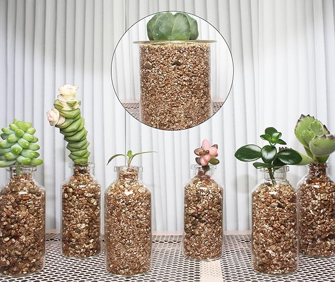 2QT Organic Vermiculite, Horticultural Vermiculite for Plants, Soil Additive for Potted Plants, Vermiculite Coarse Hydroponic for Succulent Orchid Gardening Reptiles