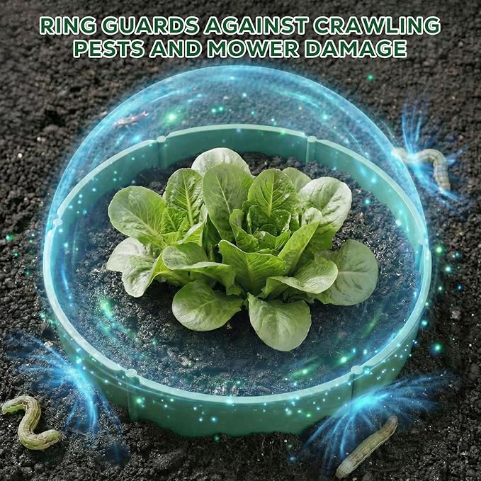 MoKo 6 PCS 10 Inch Plant Rings for Outdoor Plants, Protective Garden Edging Border for Water Retention, Reusable PVC Planting Ring for Yards, Greenhouse, Lawn, Shrubs, Vegetables, Herbs and Flowers