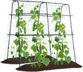Cucumber Trellis for Raised Bed, 5x5ft Metal Garden Trellis Climbing Plants Outdoor Tomato Plant Support Grape Vegetables Squash Bean Pea Cucumber Trellis, with Netting, Black