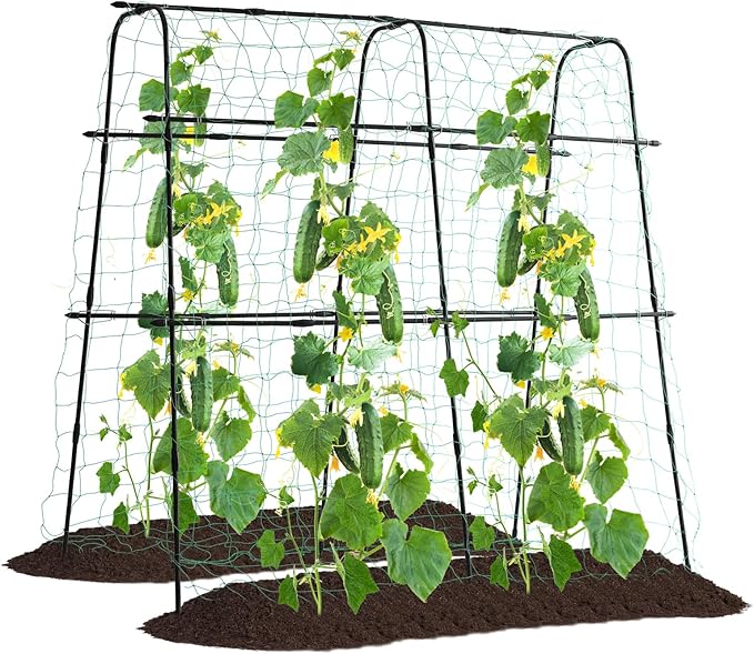 Cucumber Trellis for Raised Bed, 5x5ft Metal Garden Trellis Climbing Plants Outdoor Tomato Plant Support Grape Vegetables Squash Bean Pea Cucumber Trellis, with Netting, Black