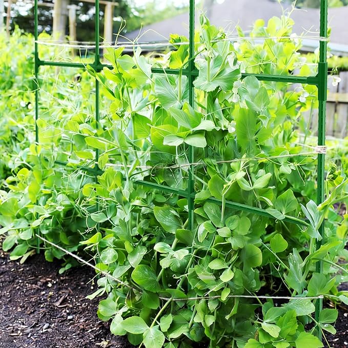 Pea Trellis, Trellis for Peas, 47" L x 65" H Tall Expandable Pea Trelli for Raised Bed Garden, Sturdy Garden Trelli for Beans, Peas & Other Climbing Vegetables