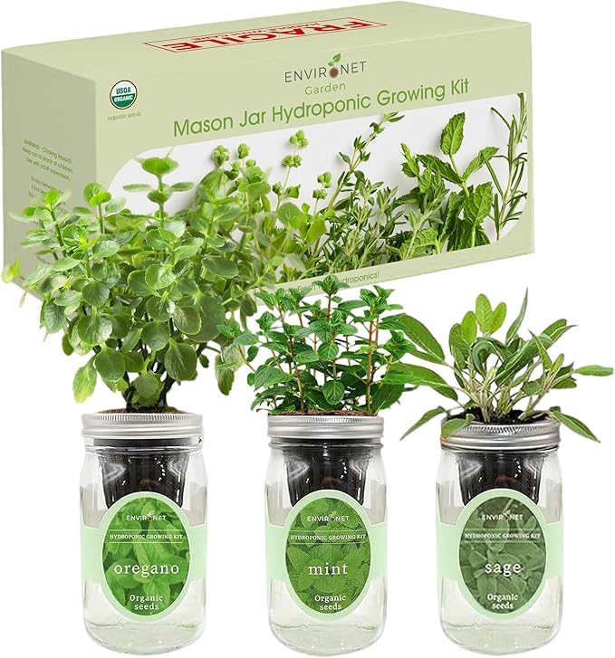 Hydroponic Herb Growing Kit Set, Self-Watering Mason Jar Herb Garden Starter Kit Indoor, Windowsill Herbs Garden. Grow Your Own Herbs from Organic Seeds (Mint, Sage, Oregano)