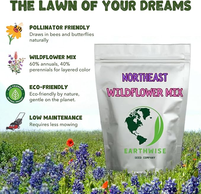 Earthwise Northeast Native & Naturalized Wildflower Mix – 1/4 lb – Pollinator-Friendly, Easy-Grow Seeds – Covers 500 sq. ft.