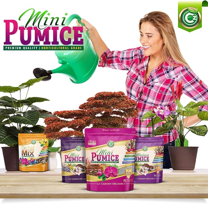 Pumice Stone Grow Media - Made in USA for Bonsai • Succulents • Cactus • Orchids - Horticultural Soil Amendment Additive Conditioner for Indoor and Outdoor Plants and Flower Gardens. OMRI Listed