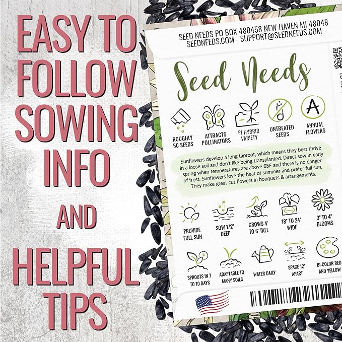 Seed Needs Sunflower Seeds for Planting Cherry Rose Sunflowers - Hybrid Flowers with Unique Bi-Colors for an Outdoors Flower Garden - Great for Cut Flowers in Bouquets & Floral Arrangements (5 Packs)