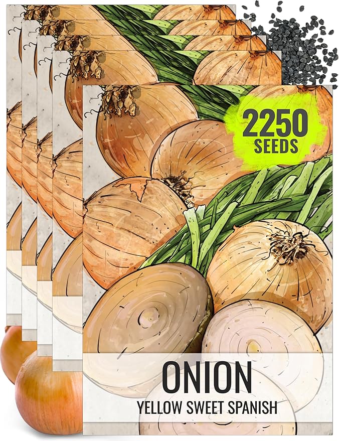 Seed Needs Onion Seeds for Planting Yellow Sweet Spanish Long Day Onions - Non-GMO Heirloom & Untreated Vegetable Seeds to Plant an Outdoor Home Grown Veggie Garden (5 Packs)