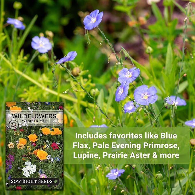 Sow Right Seeds - Wildflowers Seeds Mix for Planting in West - Non-GMO Heirloom Varieties to Grow a Wild Flower Garden - Perennial and Annual Flowers to Attract Pollinators - Colorful Blooms (1)