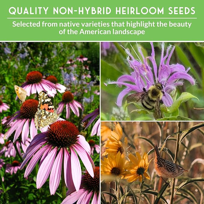 Native Plant Seeds for Planting 24 Variety Pack – Perennial & Annual North American Wildflowers for Butterfly & Bee-Friendly Pollinator Gardens – Non-GMO Heirloom – Survival Garden Seeds