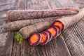 Carrot Purple Haze Hybrid Great Vegetable by Seed Kingdom 100 Seeds