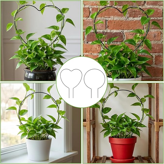 2 Pack Heart Trellis for Indoor Plants Round Plant Trellis for Climbing Plants Indoor Small Hoya Trellis Plant Support for Hoya Pothos Vine Ivy Monstera Flower Philodendrons Dischidia