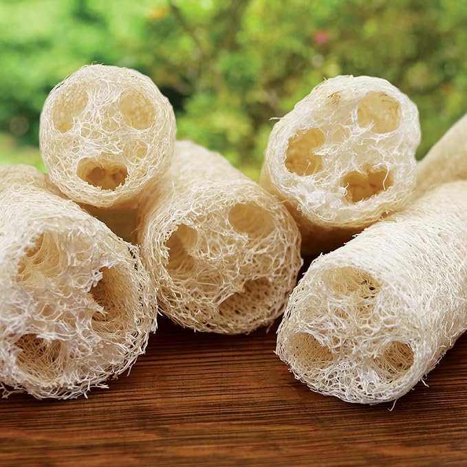 Burpee Luffa Gourd Seeds - Natural Sponge and Edible Vegetable