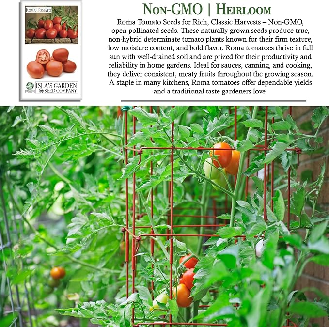Roma Heirloom Tomato Seeds for Planting – 500+ Non-GMO Seeds, Botanical Name: Solanum lycopersicum, 90% Germination Rate, Classic Paste Tomato for Sauces & Canning, by Isla’s Garden Seeds, Gift Idea