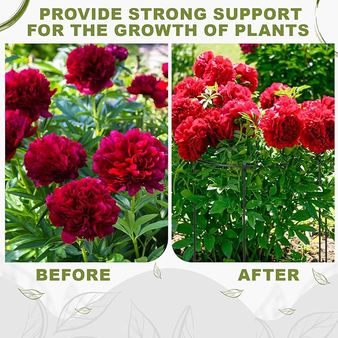 Geelin 15 Pack Peony Cages Bulk 12'' Dx 16'' H Peony Cages and Supports Heavy Duty Metal Plants Grow Through Support Rings Hoops for Outdoor Plants Flower Strawberry Tomato Strawberry(Black)