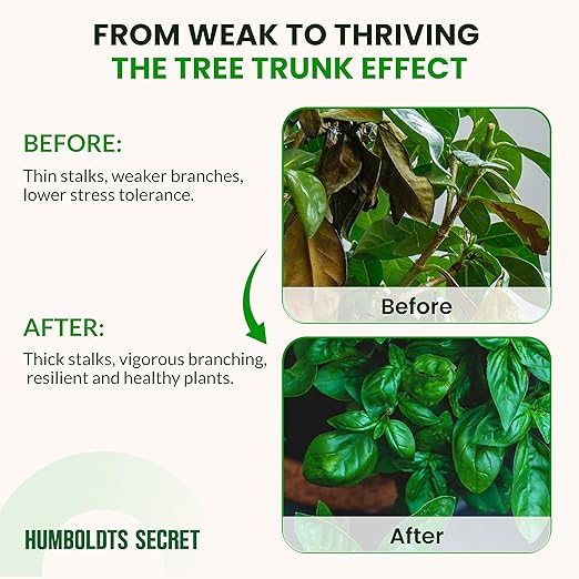 Humboldts Secret Tree Trunk | Potassium Silicate Additive | Liquid Fertilizer for Thicker Stalks, Stress Resistance & Branch Development | Indoor & Outdoor Plant Food, Hydroponic Nutrients, 32 Ounce