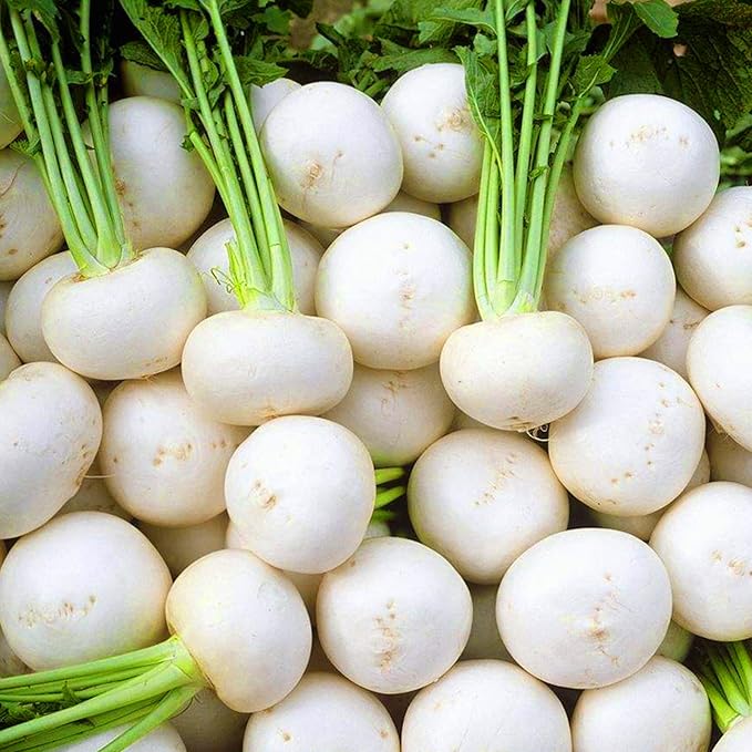 Mixrug 7 Types Radish Seeds Pack for Planting, 840pcs Non-GMO Heirloom Radish Vegetable Seeds, Vegetables Plants Home Fresh Food Garden for Outdoors Indoors