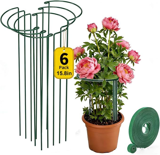 AMAGABELI GARDEN & HOME 6 Pack Plant Support Stakes Metal Peony Cage Heavy Duty Half Round Garden Support Structures Plant Cage with Ties for Indoor Flower Tomato Hydrangea Monstera (10" W x 15.8" H)