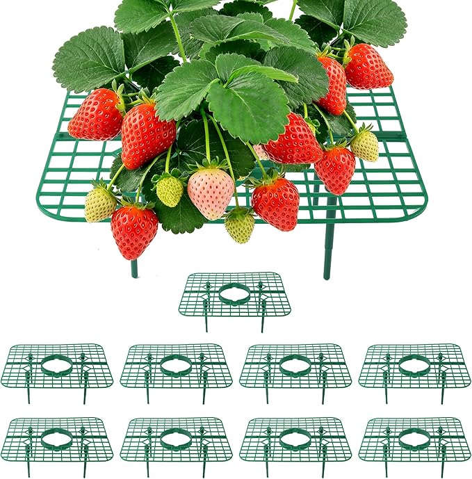 Strawberry Plant Support, 10 Pack, Raised Grid Stand to Keep Strawberries Off the Ground, Strawberry Holder for Garden Beds, Raised Planters & Pots (Square)