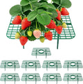Strawberry Plant Support, 10 Pack, Raised Grid Stand to Keep Strawberries Off the Ground, Strawberry Holder for Garden Beds, Raised Planters & Pots (Square)