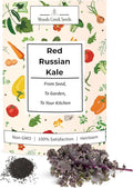 Woods Creek Seeds: Red Russian Kale Seeds for Planting - Over 480 Heirloom Non-GMO Kale Seeds for Planting Outdoors, Indoors or for Hydroponic Gardening - Ideal for Vegetable Gardening at Home