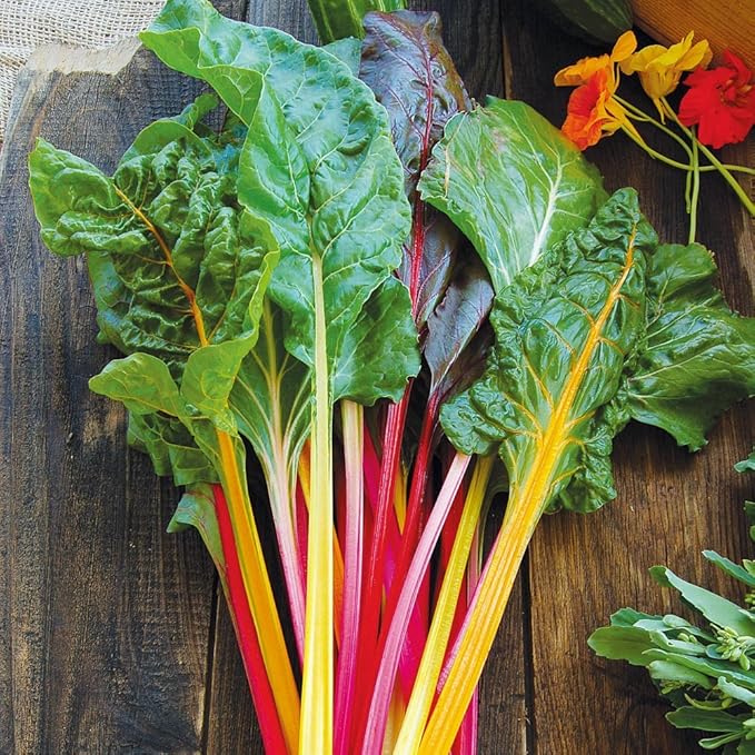 Organic Chard Seeds, APPR. 225, Rainbow Swiss Chard, Heirloom Vegetable Seeds, Certified Organic, Non GMO, Non Hybrid, USA