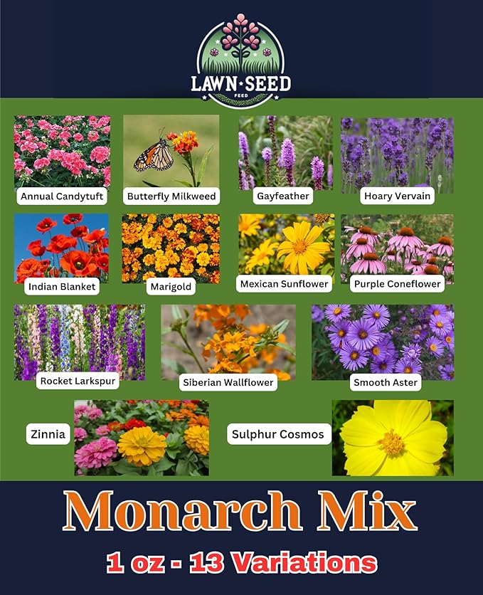 Monarch Wildflower Mix! (1oz) Sprinkle a Little Magic—Our Shade, Perennial, Hummingbird, Deer-Resistant, and Other Wildflowers Bring Vibrant Color and Pollinator Joy to Any Space.