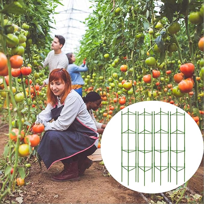 Moirsunt 4 Pack Tomato Cage for Garden- Plant Support Stakes Up to 63inch Garden Stakes Tomato Cage, Tomato Trellis for Potted Plants Climbing Vegetables Plants Flowers