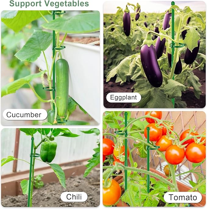 30Pcs Plant Support Stakes 17 inch SupKing Garden Orchid Sticks Extended to 3ft 4ft 5ft Plant Poles with Clips for Indoor Outdoor Potted Tomato Rose Amaryllis Vegetables Comes with 20 Ties