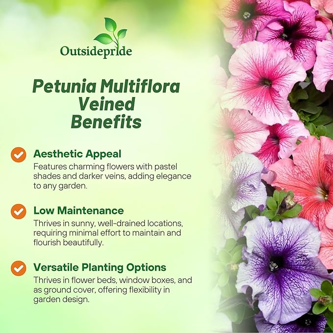 Outsidepride Veined Multiflora Petunia Seeds - 1000 Pcs. Annual, Compact, Flower Seeds for Planting, Vibrant Blooms, Ideal for Garden Beds, Hanging Baskets & Container Displays