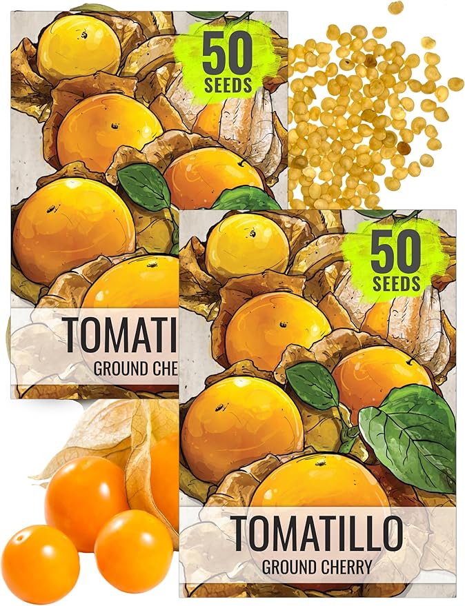 Seed Needs, Ground Cherry Tomatillo Seeds for Planting (Physalis pruinosa) Heirloom, Non-GMO & Untreated (2 Packs)