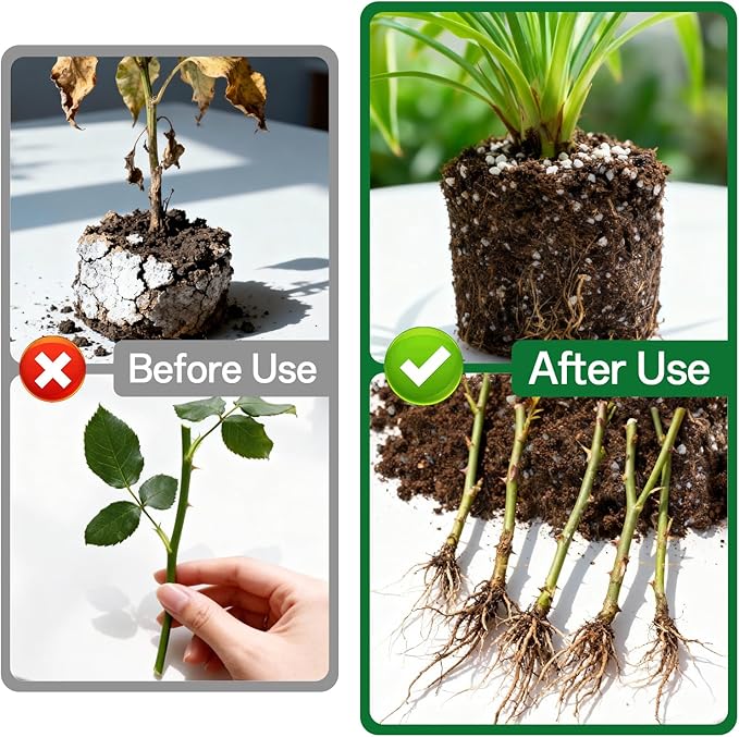 ZeeDix 6QT Organic Perlite Horticulture Soil Amendment for Plants, 3-9mm Granule Size Potted Plant Soil for Orchid Cactus Succulents Carnivorous Monstera Repotting, Indoor Outdoor Gardening